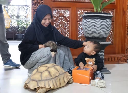 Unik, Hall Solo Balapan Mendadak Jadi Mini Zoo