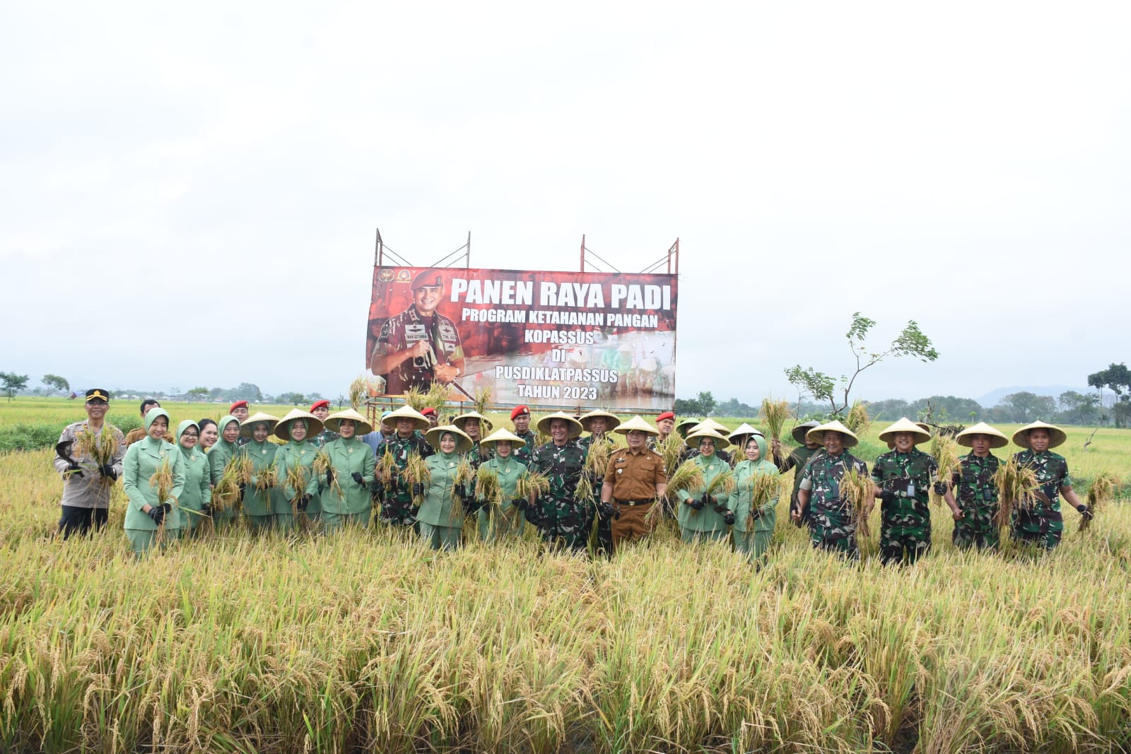 Dukung Ketahanan Pangan, Pusdiklatpassus Kopassus Laksanakan Panen Raya