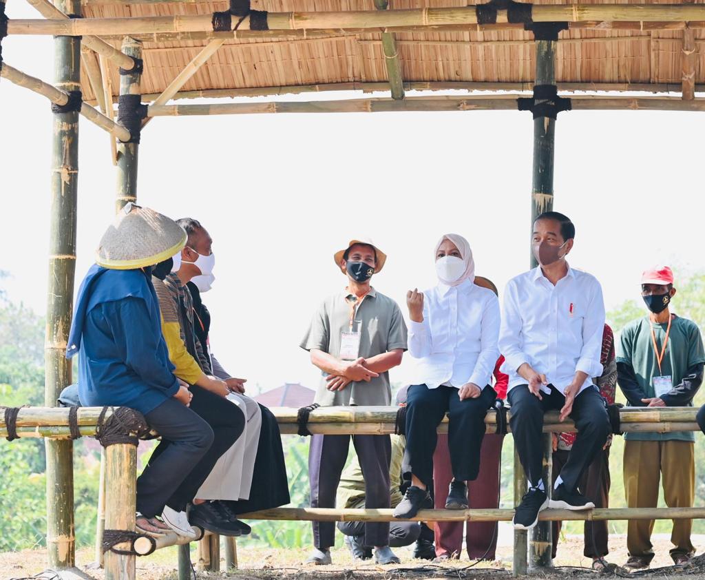 Presiden Jokowi Dorong Penanama Ribuan Kelapa Genjah di Wilayah Solo Raya