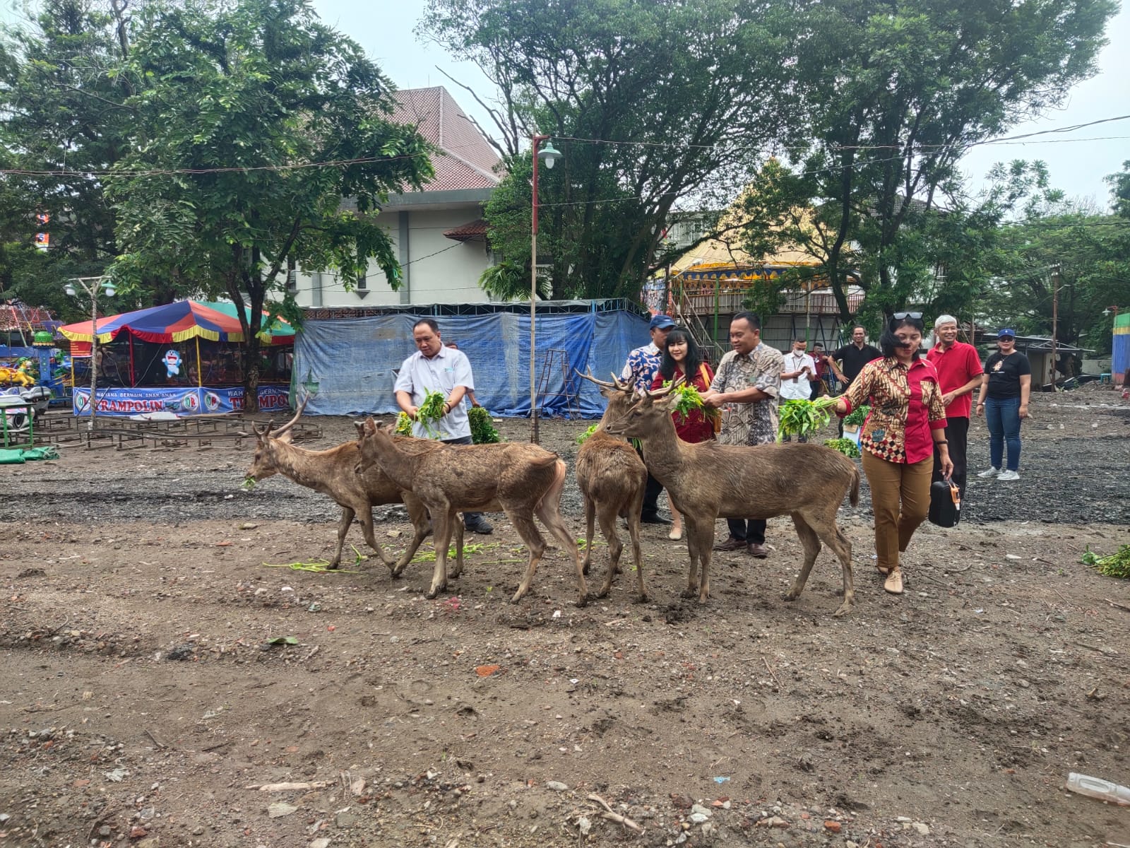 Komisi IV DPRD Solo Cek Kondisi Rusa di Taman Sriwedari, Ini Temuannya