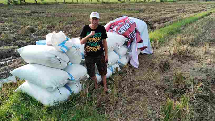 Jerit Petani Karanganyar, Harga Gabah Anjlok Saat Masa Panen Pertama