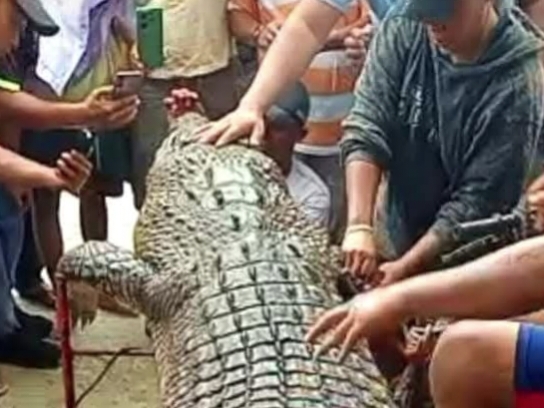 Warga Nisel Tewas Diterkam Buaya di Pantai Tello, Jasad Korban Akhirnya Berhasil Dievakuasi