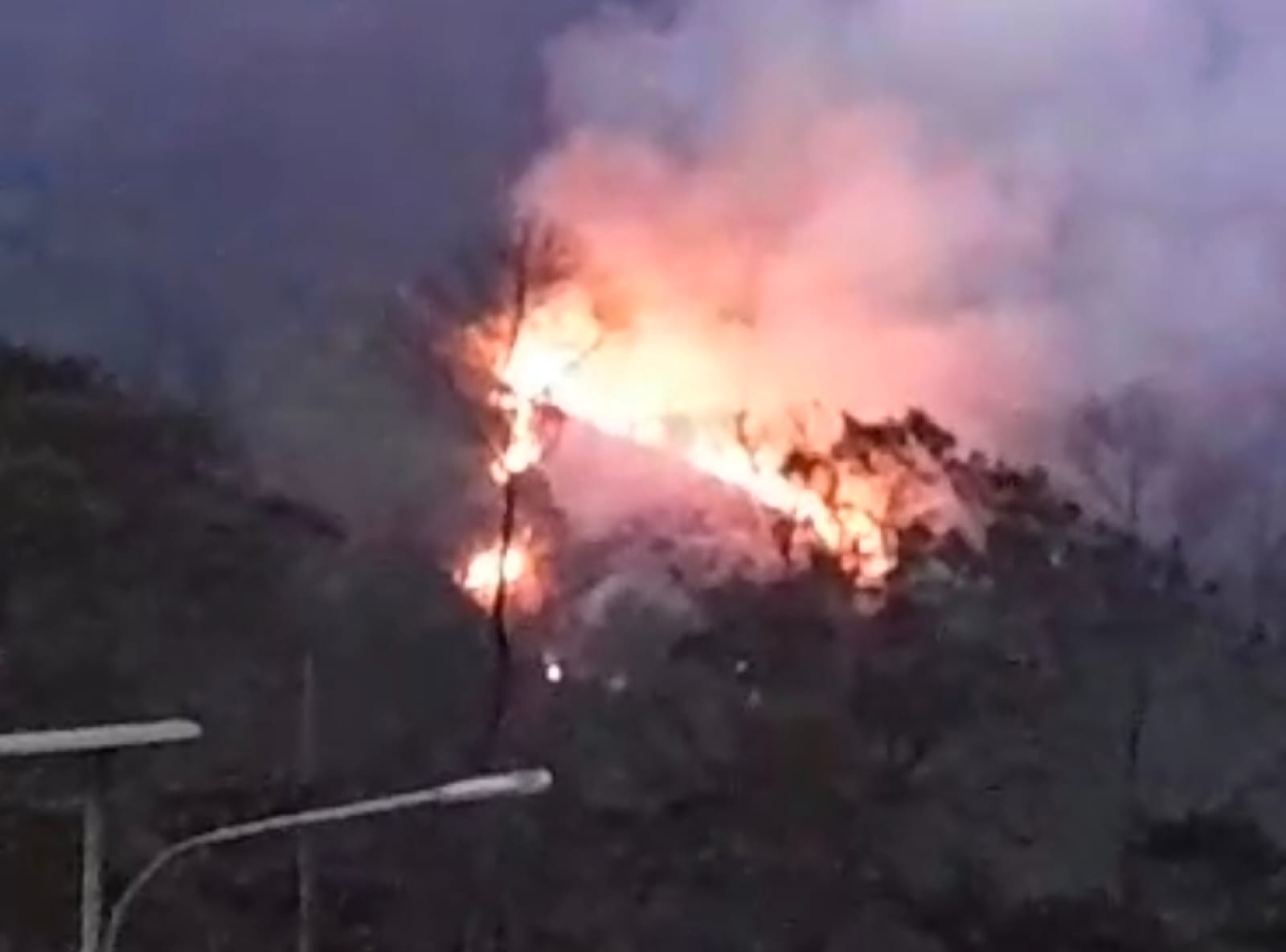 Hutan Lawu Kembali Terbakar, Pemadaman Dilakukan Dengan Alat Seadanya