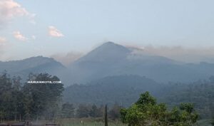 Gunung Lawu Terbakar