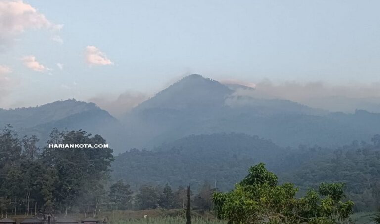 Gunung Lawu Terbakar
