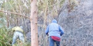 Kebakaran Lahan Gunung Lawu