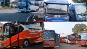4 PO Bus Kalah Bersaing