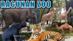 Taman Margasatwa Ragunan